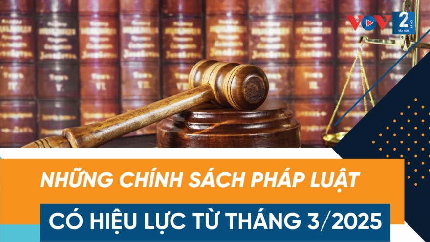 Những chính sách pháp luật có hiệu lực tháng 3/2025